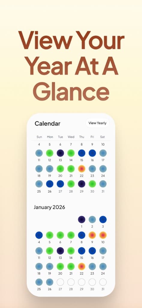 Andy calendar: view your year of mood entries at a glance